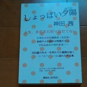 しょっぱい夕日　神田茜