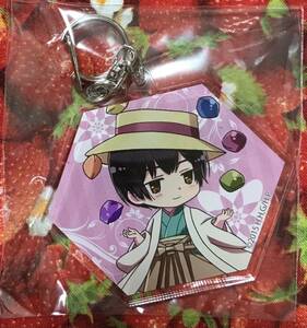  Hetalia Kiddy Land ak key Japan acrylic fiber key holder KIDDY LAND Kiddy Land 