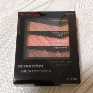 ケイト アイシャドウ パーツリサイズアイシャドウ OR-1