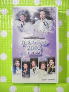  быстрое решение ( включение в покупку приветствуется )VHS TCA специальный 2002DREAM Takarazuka ... leaf to есть * видео прочее большое количество выставляется θE70