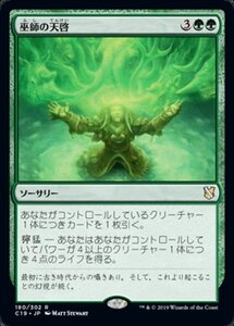 MTG ■緑/日本語版■ 《巫師の天啓/Shamanic Revelation》統率者2019 C19