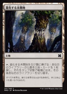 MTG ■土地/日本語版■ 《進化する未開地/Evolving Wilds》モダンマスターズ2015 MM2