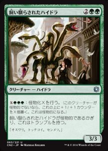 MTG ■緑/日本語版■ 《飼い馴らされたハイドラ/Domesticated Hydra》コンスピラシー:王位争奪 CN2