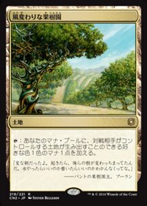 MTG ■土地/日本語版■ 《風変わりな果樹園/Exotic Orchard》コンスピラシー:王位争奪 CN2