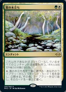 MTG ■金/日本語版■ 《真の木立ち/Sterling Grove》★エッチングFOIL★モダンホライゾン２ MH2