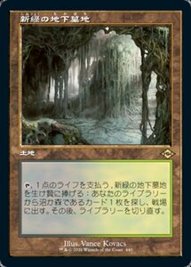 MTG ■土地/日本語版■ 《新緑の地下墓地/Verdant Catacombs》★旧枠エッチングFOIL★モダンホライゾン２ MH2