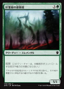 MTG ■緑/日本語版■《針葉樹の徘徊者/Conifer Strider》タルキール龍紀伝 DTK