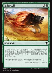 MTG ■緑/日本語版■《暴露する風/Revealing Wind》タルキール龍紀伝 DTK