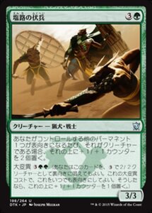 MTG ■緑/日本語版■《塩路の伏兵/Salt Road Ambushers》タルキール龍紀伝 DTK