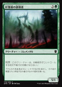 MTG ■緑/日本語版■《針葉樹の徘徊者/Conifer Strider》★FOIL★ タルキール龍紀伝 DTK