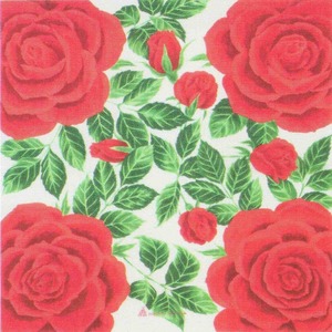  cotton small furoshiki ....[ rose ( red )MISATO ASAYAMA] middle width approximately 50cm(.. present, place mat .)y092AMB-02A