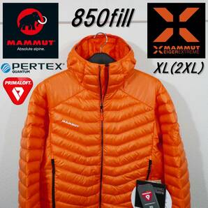 残1 新品 プロ仕様 アイガーエクストリーム 850フィル マムート XL XXL 2XL ダウンジャケット ダウン プリマロフト Eiger Extreme オレンジ