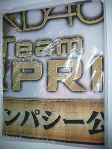 送料無料　AKB48 　チームサプライズ　デッサン　のぼり　ＰＯＰ　高橋みなみ・指原莉乃