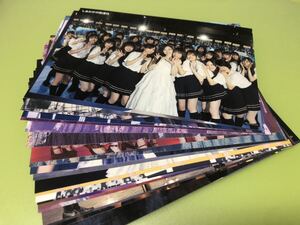 乃木坂46 白石麻衣卒業コンサート Blu-ray特典ポストカード 23種 23枚 フルコンプ(しあわせの保護色 封入 生写真 まとめ セット売り 可