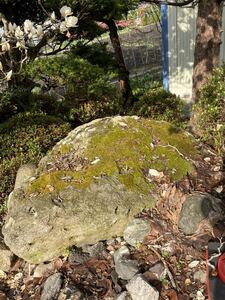 庭石　鑑賞石　苔の石　巨岩　パワーストーン　長野県