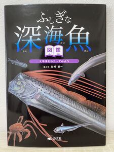 ふしぎな深海魚図鑑 太平洋をわたってみよう 北村雄一 絵本 児童書
