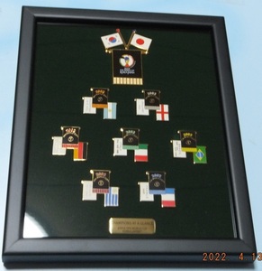 2002 FIFA WORLD CUP KOREA JAPAN 日韓 ワールドカップCHAMPIONS AT A GLANCE ピンズセット 未使用品です。