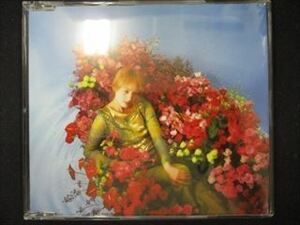 435＃中古CDS 宝塚歌劇 愛華みれ「地球～TERRA～」