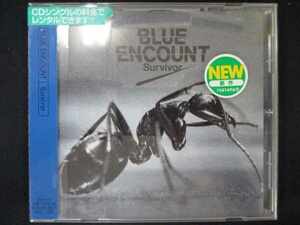 506＃レンタル版CDS Survivor/BLUE ENCOUNT