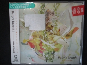 781 レンタル版CDS Baby's breath/(K)NoW_NAME