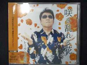 722 レンタル版CDS 咲き乱れる花/レーモンド松屋