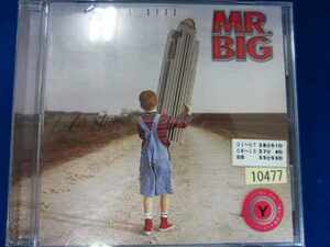 p67 レンタル版CD Actual Size/MR.BIG 10477