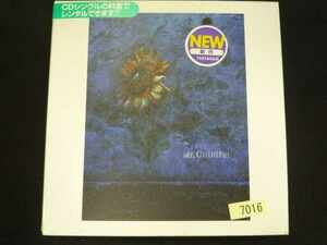 o17 レンタル版CDS himawari/Mr.Children 7016