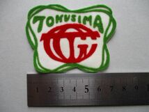 徳島ゴルフ倶楽部 TOKUSHIMA GOLF CLUBワッペン/CCアップリケGOLFビンテージGCパッチ昭和レトロ紋章ゴルフ V130_画像7