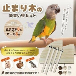 レイアウト自在　止まり木6点 ボール6個セット インコ おもちゃ文鳥 かじり棒