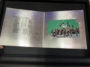 1994年日本シリーズ　読売巨人軍優勝テレカC(60サイズ)