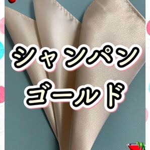 ポケットチーフ《日本製》新品