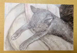 Art hand Auction 원본 손으로 그린 작품 일러스트 엽서 고양이 새끼 고양이 성장하는 새끼 고양이 수채화 복제 [아오키 시즈카] 손으로 그린 일러스트, 만화, 애니메이션 상품, 손으로 그린 그림