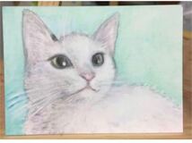 手描き イラスト 猫のゆきちゃん 水彩画　原画 ATC 【あおきしずか】手描きイラスト _画像2