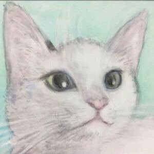 手描き イラスト 猫のゆきちゃん 水彩画　原画 ATC 【あおきしずか】手描きイラスト 