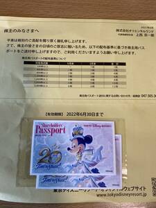送料無料！6月18日(土) 東京ディズニーシー パスポート チケット2枚セット
