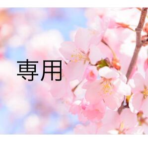 【パピバ様専用】トラ柄 生地 ツイル生地