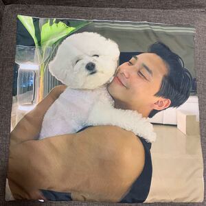 【新品】韓国俳優パクソジュンと愛犬シンバのクッションカバー
