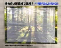 【フルサイズ版／額縁印刷】土屋光逸 風光礼讃-精進湖 1934年 富士山 壁紙ポスター 特大 784×585mm （はがせるシール式） 002SGH1_画像7