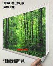 【パノラマ扉なし窓仕様】-窓の景色- 南国のビーチと透き通る海 島 青空 絶景 沖縄 壁紙ポスター 特大版 1440×576mm 106NP1_画像5