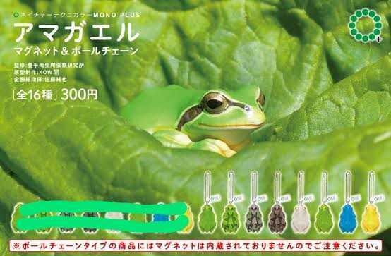 ネイチャーテクニカラー MONOPLUS アマガエル マグネット&ボールチェーン ボールチェーン8種セット カプセルトイ ガチャ