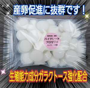  production egg ... eminent! special selection high grade Pro jelly [50 piece ] raw . ability. necessary become galakto-s strengthen combination! length .* body power increase . also eminent! insect jelly 