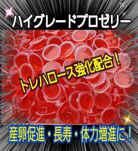 産卵促進に抜群！特選ハイグレードプロゼリー【50個】生殖能力の要になるガラクトース強化配合！長寿・体力増進にも抜群！　昆虫ゼリー