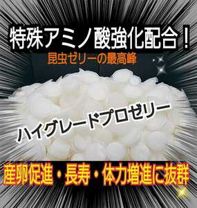 産卵促進に抜群！特選ハイグレードプロゼリー【300個】生殖能力の要になるガラクトース強化配合！長寿・体力増進にも抜群！　昆虫ゼリー