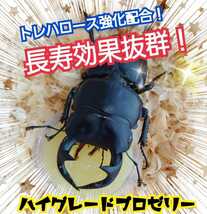 産卵促進に抜群！特選ハイグレードプロゼリー【100個】生殖能力の要になるガラクトース強化配合！長寿・体力増進にも抜群！　昆虫ゼリー_画像4