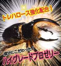 産卵促進に抜群！特選ハイグレードプロゼリー【100個】生殖能力の要になるガラクトース強化配合！長寿・体力増進にも抜群！　昆虫ゼリー_画像8