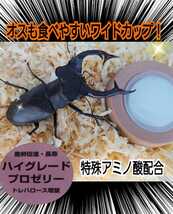 産卵促進に抜群！特選ハイグレードプロゼリー【200個】生殖能力の要になるガラクトース強化配合！長寿・体力増進にも抜群！　昆虫ゼリー_画像4