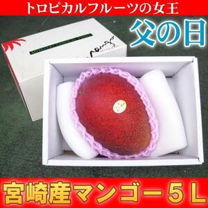 さんきん〓父の日 宮崎産 完熟 アップルマンゴー 5L1玉 超特大 化粧箱入 ご予約