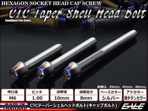 M6×100mm ステンレス 2色テーパーシェルヘッドボルト キャップボルト クランクケース/エンジン周り シルバー焼チタンカラー TB0866