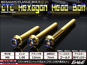 M6×70mm ステンレス 2色ヘキサゴンヘッドボルト 六角ボルト クランクケース等エンジン周りに ゴールド/焼チタンカラー TB0796