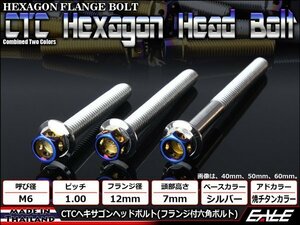 M6×70mm ステンレス 2色ヘキサゴンヘッドボルト 六角ボルト クランクケース等エンジン周りに シルバー/焼チタンカラー TB0673